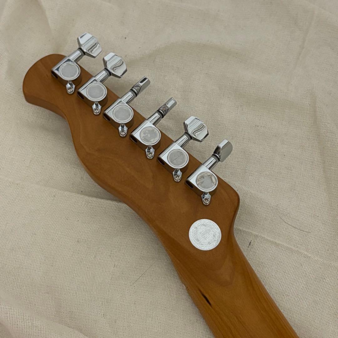 Bacchus テレキャスター