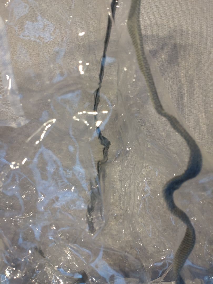 美品ペチコペットキャリー【Lサイズ】　PETICO サンドグレー×ホワイト