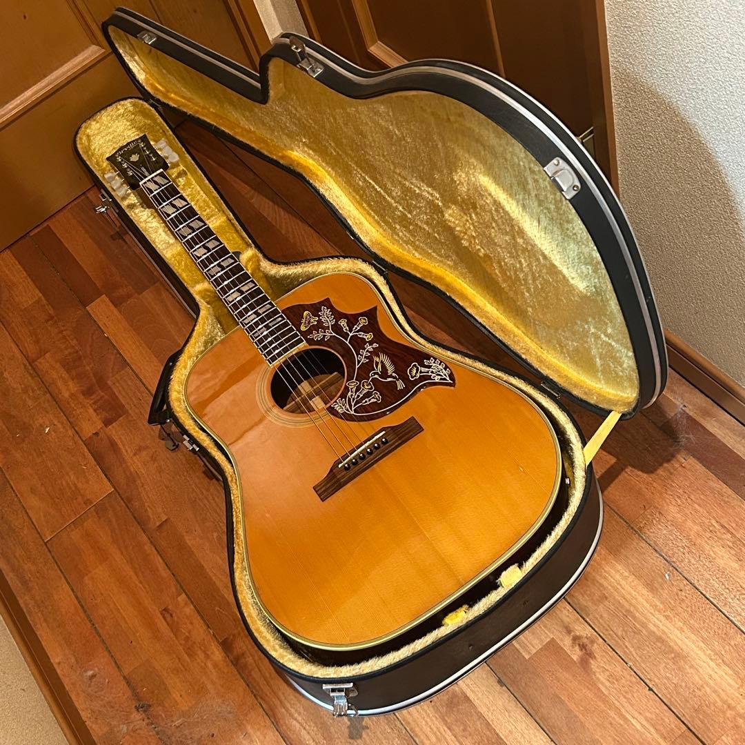 超レア！Orville by Gibson HUMMINGBIRDエレアコ