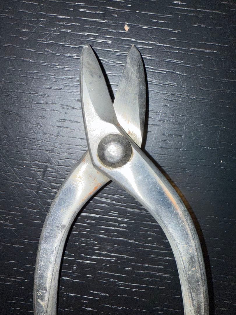 BIGG CUT オールステンレス　種光　エグリ