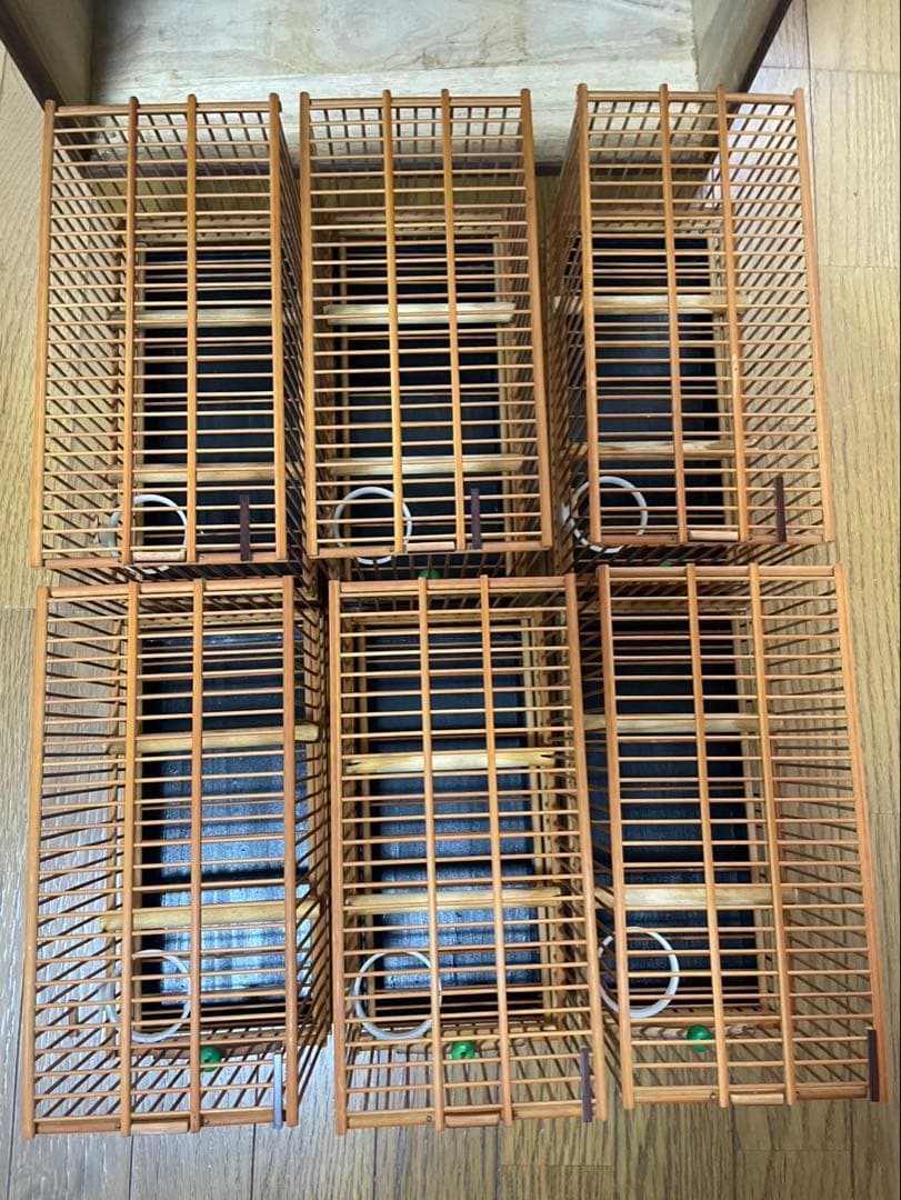 メジロ　寝かせカゴ　カゴ６個付き　Ｂ