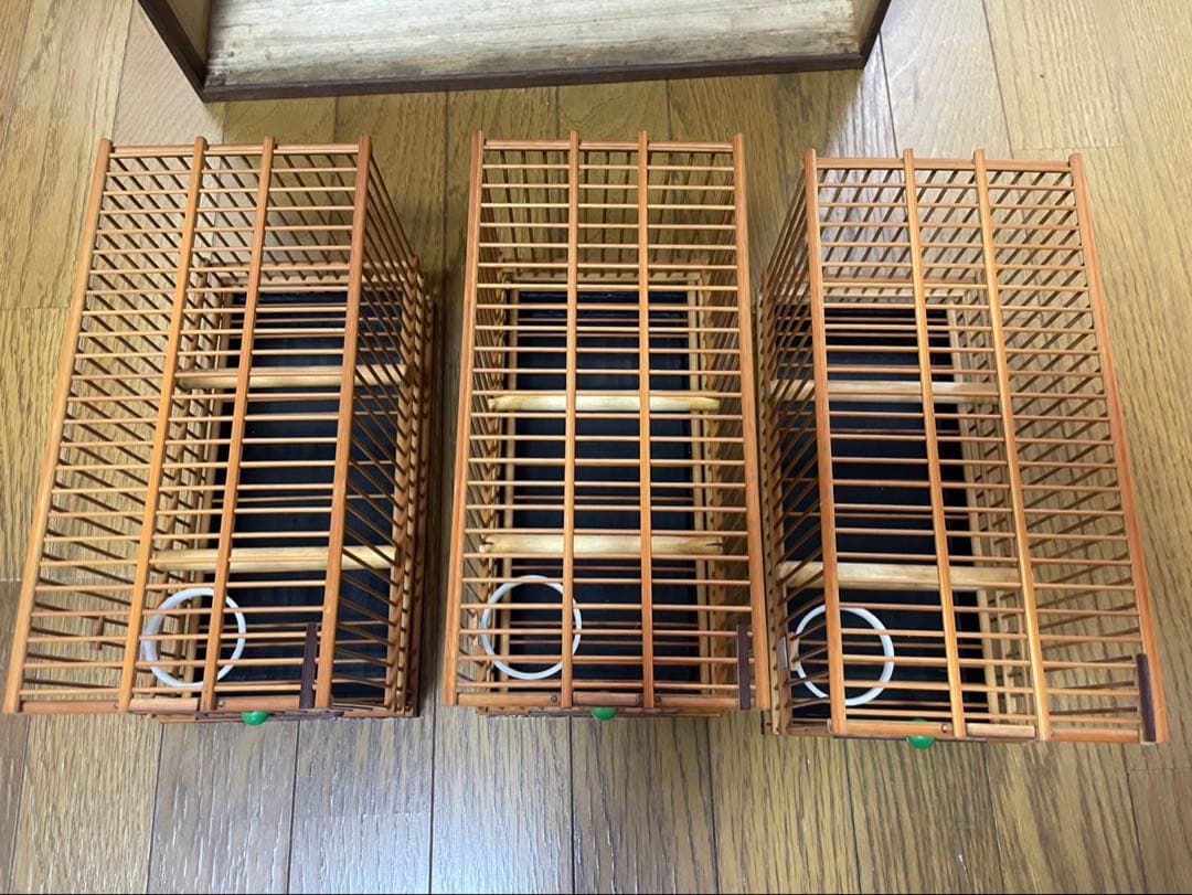 メジロ　寝かせカゴ　カゴ６個付き　Ｂ