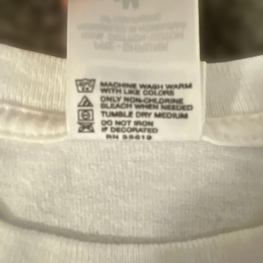 【希少】00's anvil NIRVANA NEVER MIND Tシャツ M