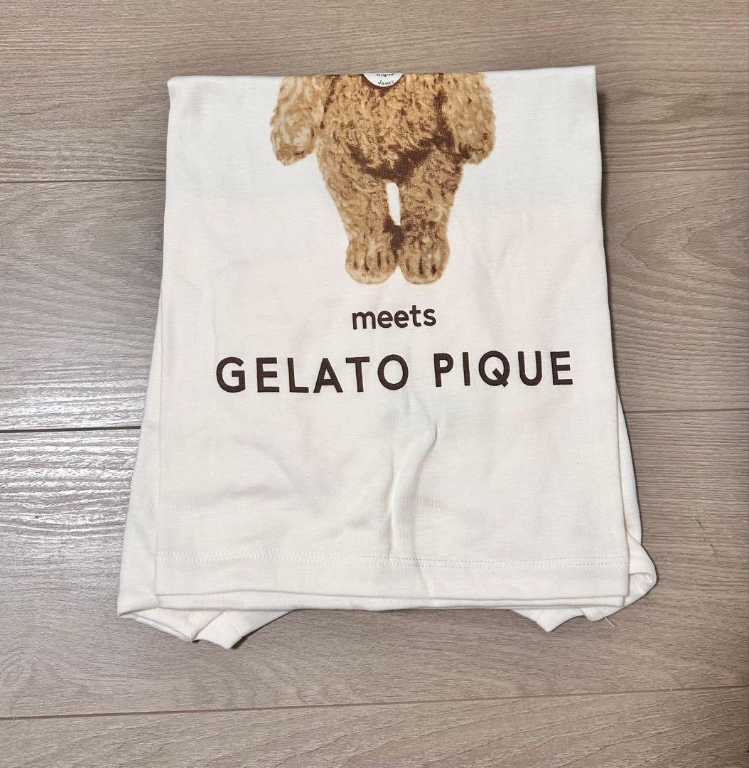 ★新品未使用　ジェラートピケ　ルームウェア　クマベア　Steiff テディベア