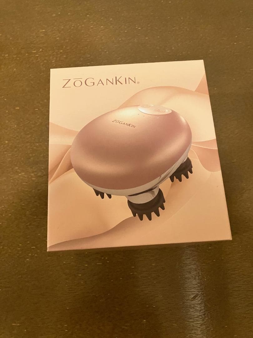 値下げ!ほぼ未使用♡【正規品】ZOGANKINゾーガンキン EMS機器 スカルプ
