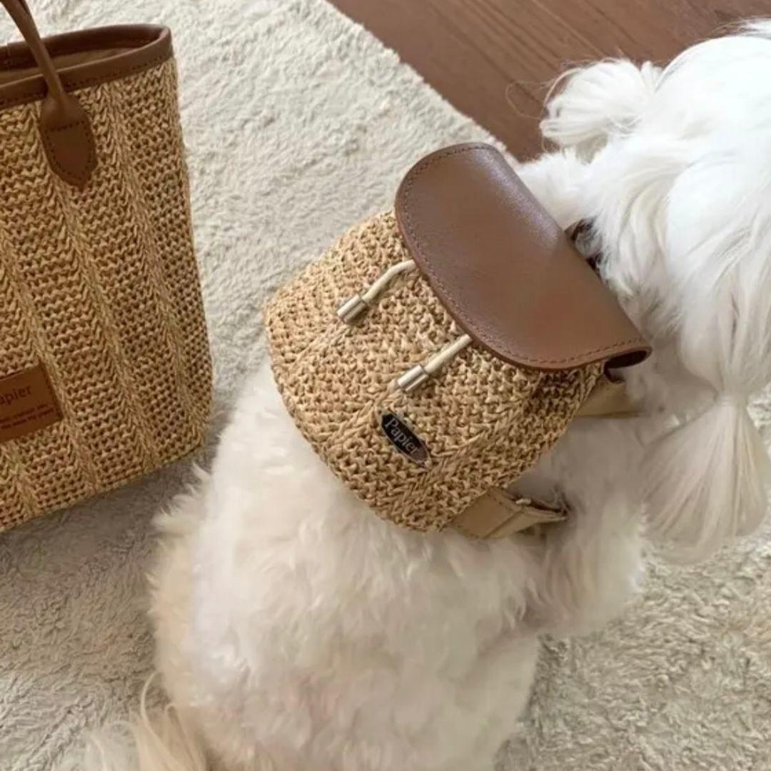 韓国犬服【papier】Raffia Work Back & Backpack