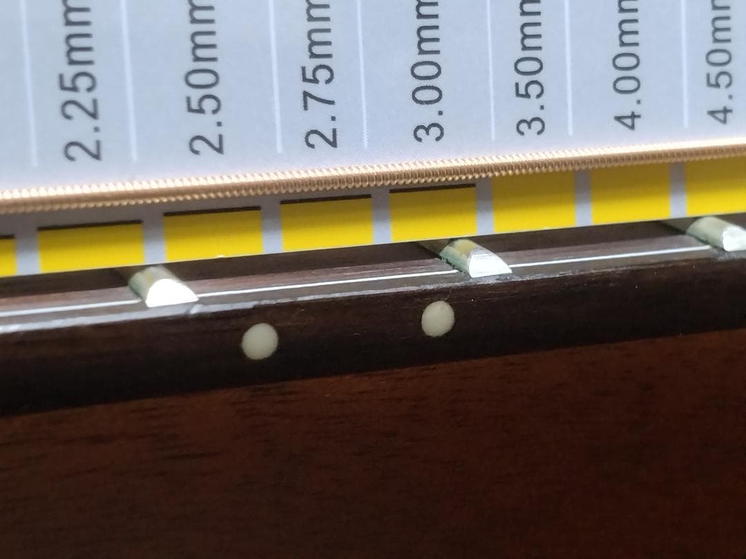 t*r様 Ibanez AC-3000 オール単板エレアコ改セミハードケース付ジ