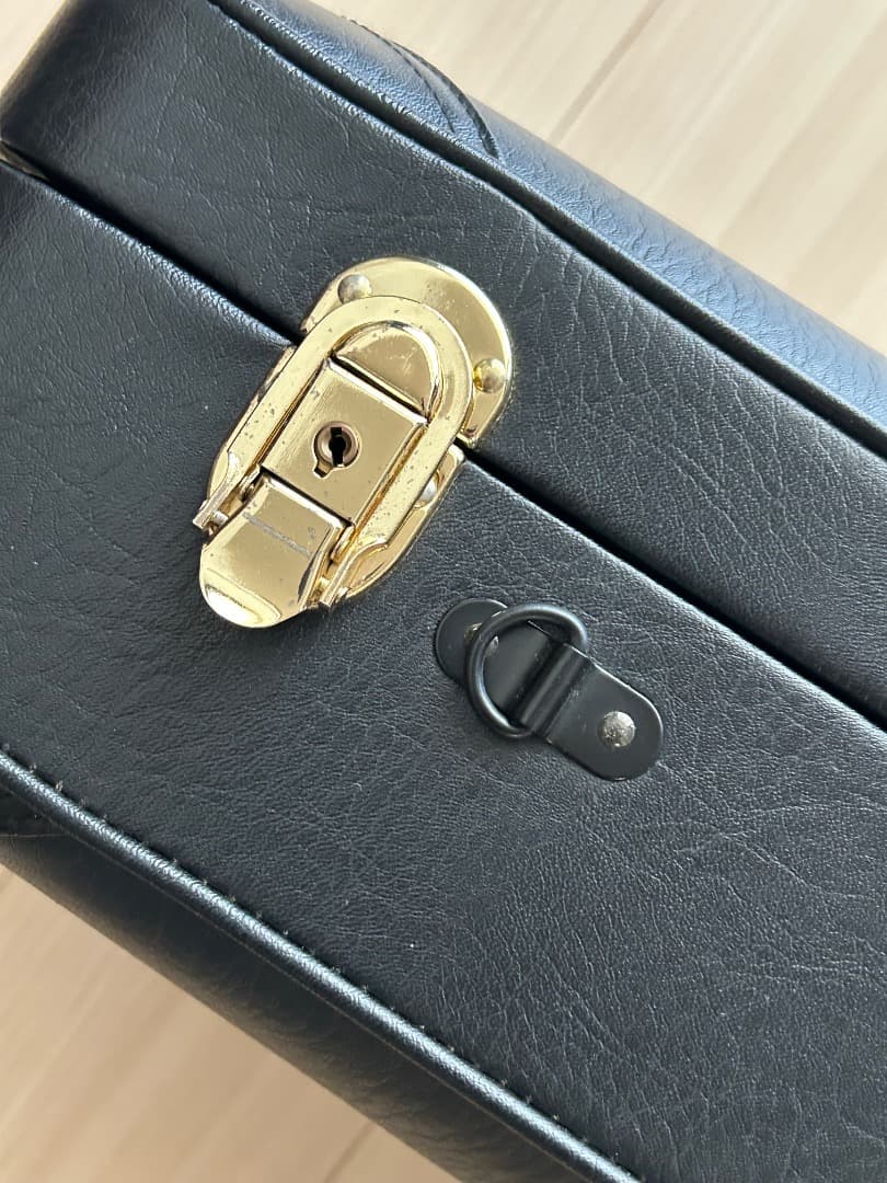 ヤナギサワ　アルトサックス・ケース