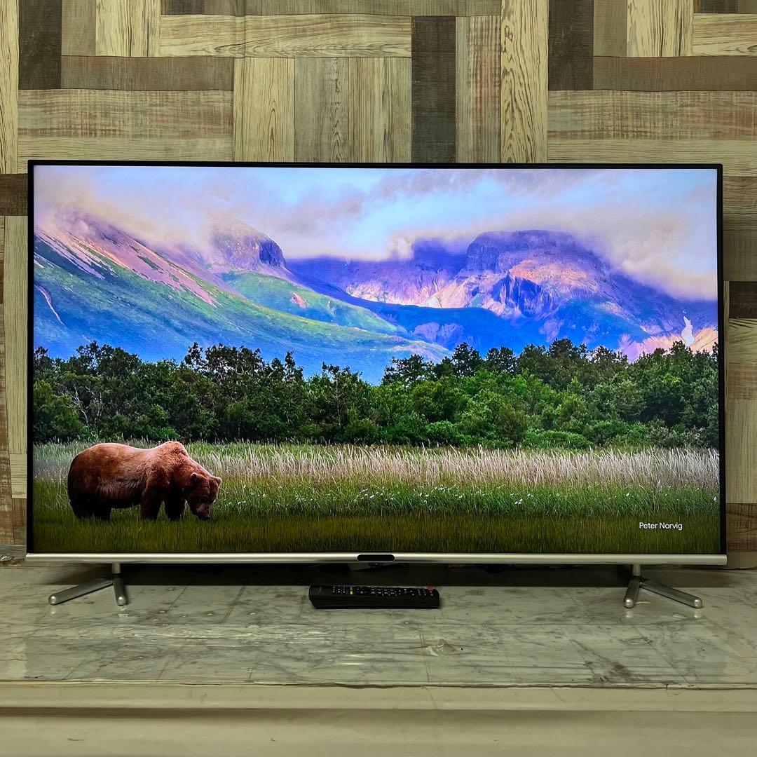 即日受渡❣️全国送料込グリーンハウス50型液晶テレビ日本メーカー製最新LSI搭載