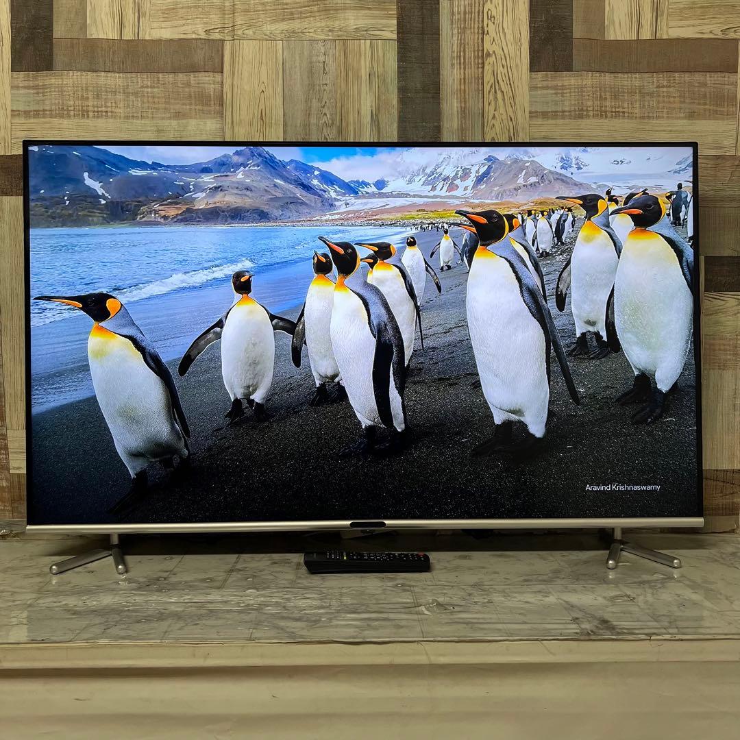 即日受渡❣️全国送料込グリーンハウス50型液晶テレビ日本メーカー製最新LSI搭載