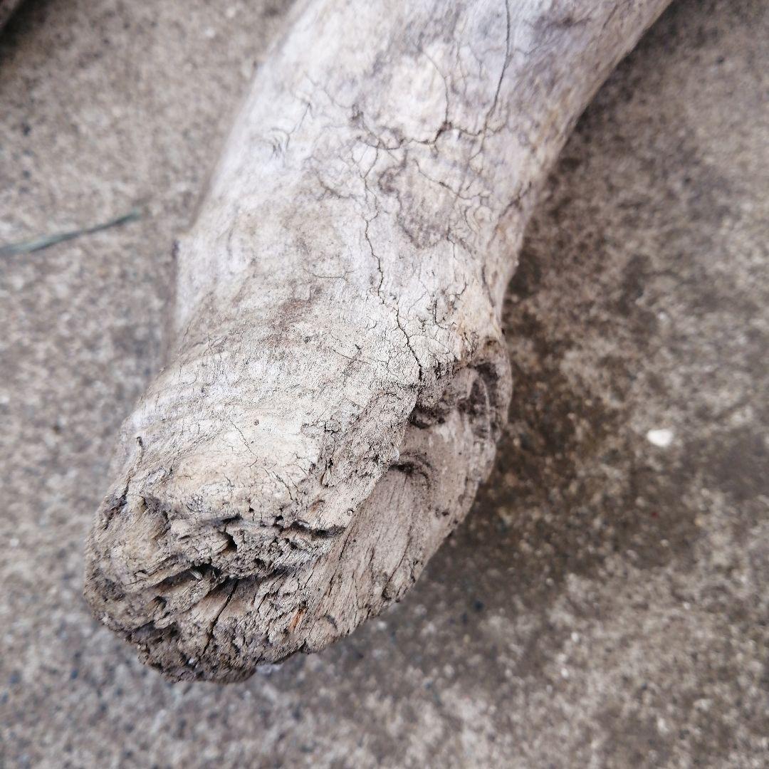 流木風【きこり】2点セット。大きい 自然な風合い