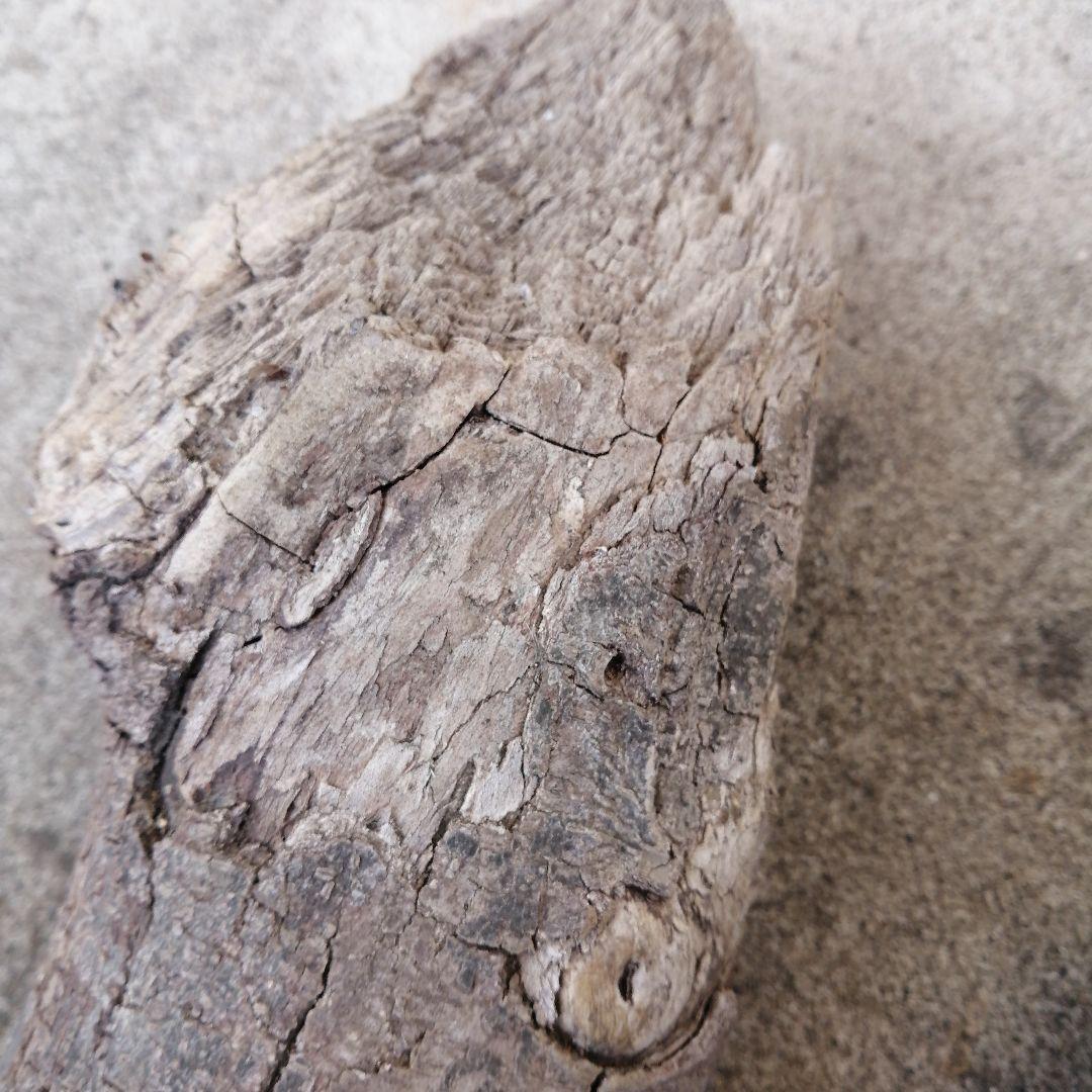 流木風【きこり】2点セット。大きい 自然な風合い