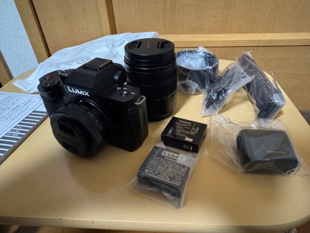 LUMIX DC-G100DW ダブルズームレンズキット