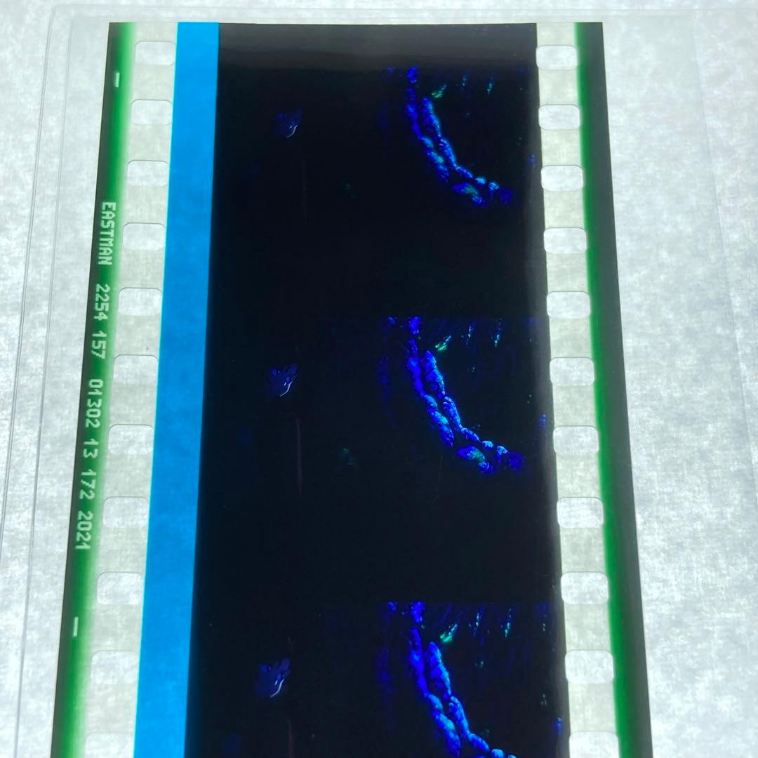 sao フィルム ミト アスナ キリト 4個セット