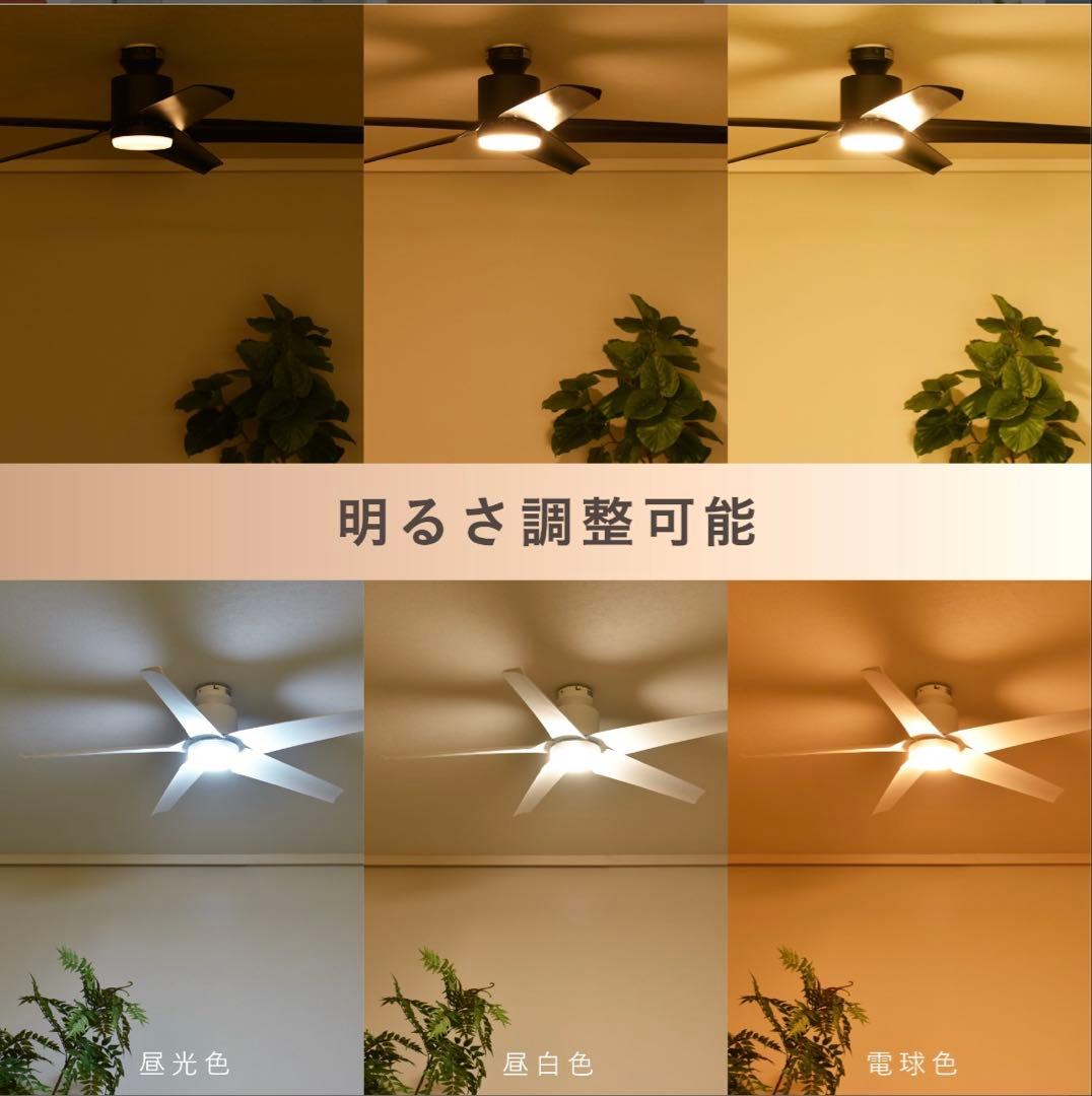 シーリングファンライト Finia (フィニア)