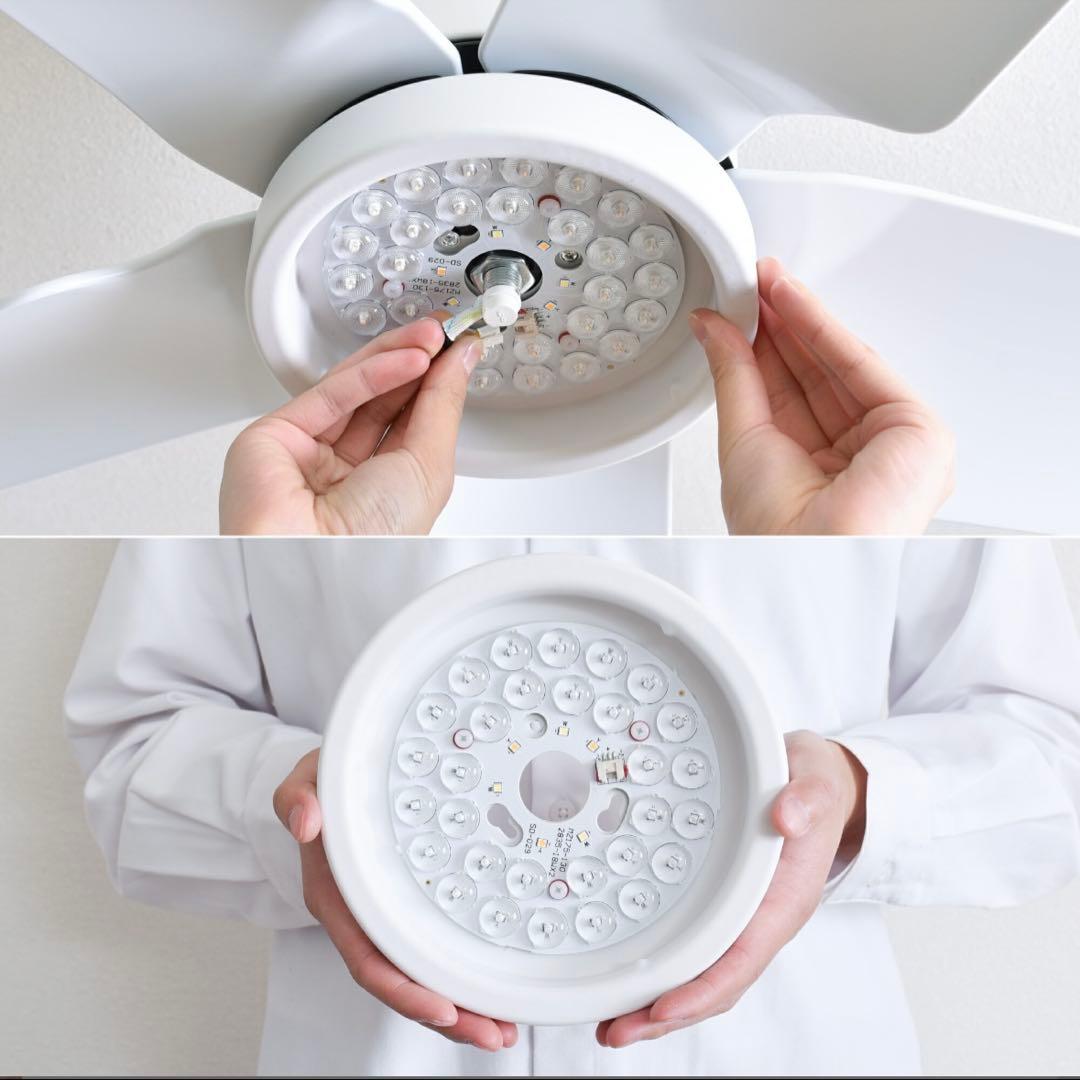 シーリングファンライト Finia (フィニア)