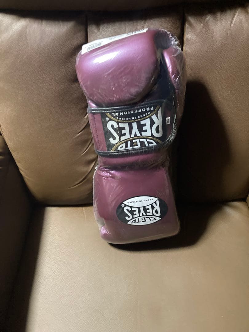 レイジェス ボクシンググローブ１６オンス