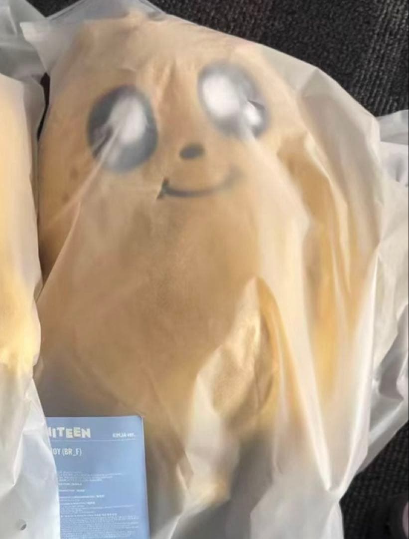 SEVENTEEN MINITEEN KIMJA ミンギュ PLUSH TOY