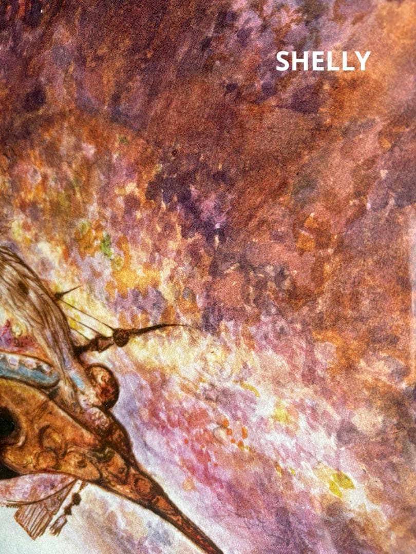 【希少】天野喜孝/旅路 (シリアルナンバー入)