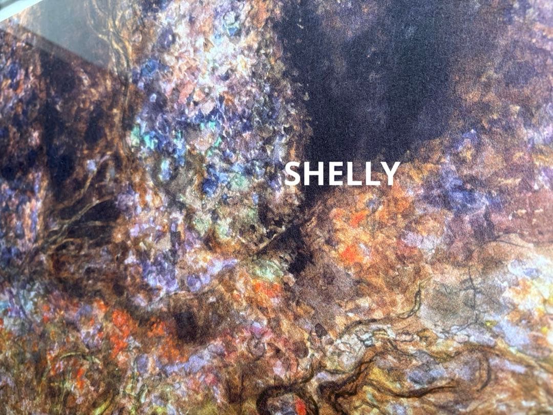 【希少】天野喜孝/旅路 (シリアルナンバー入)