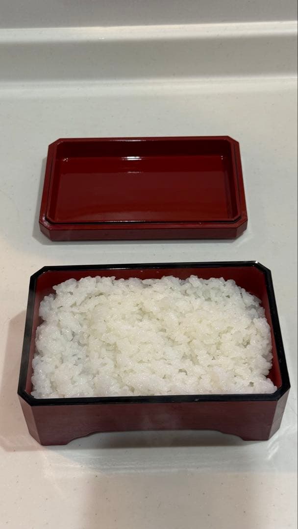 【5個セット　再出品その三】赤い漆器 重箱 蓋付き（鰻の長焼用）新品•未使用