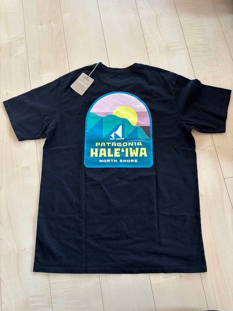 パタゴニアTシャツ　ハワイ限定