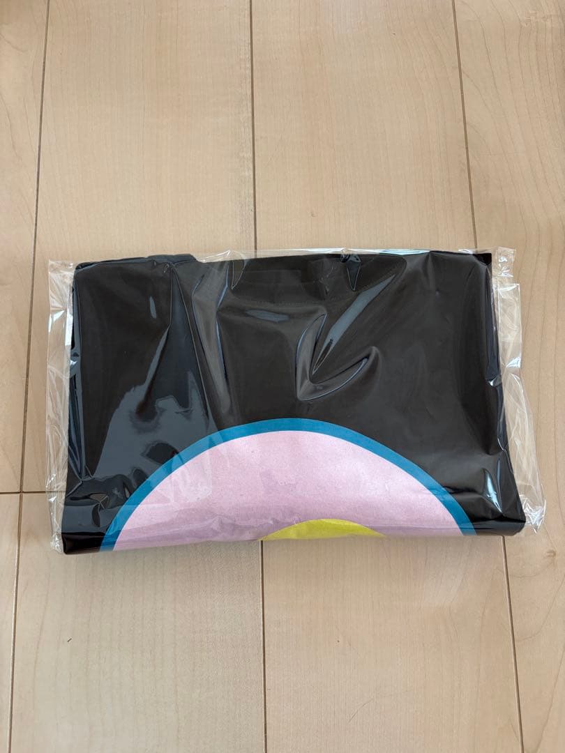 パタゴニアTシャツ　ハワイ限定