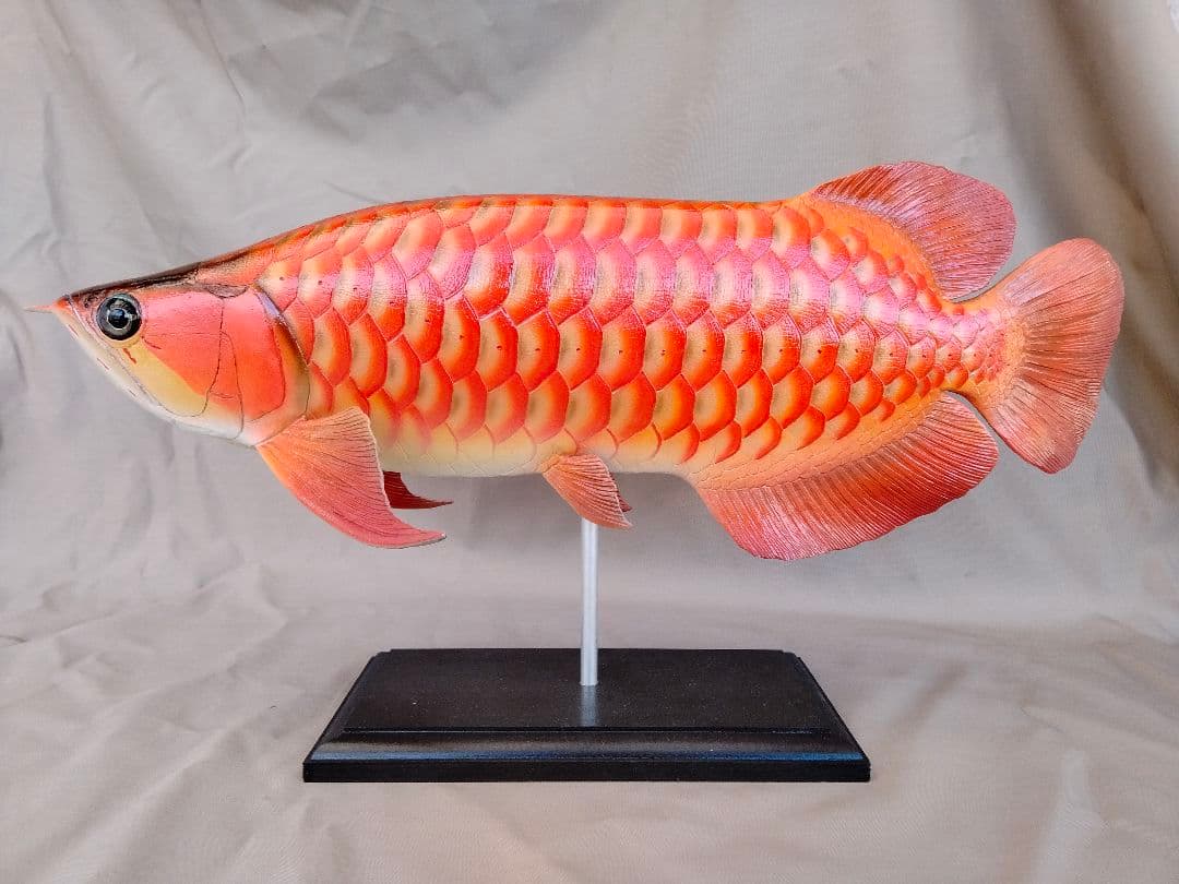 新作ハンドメイド　41cmアロワナ　フィギュア　レプリカ　熱帯魚　紅龍　レッド