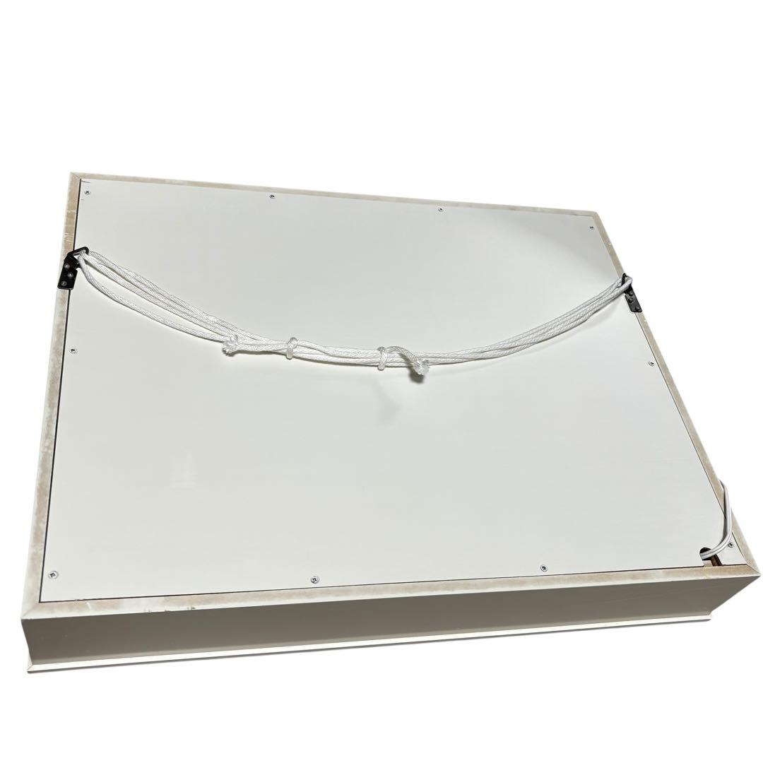 S.Bloom　蛍光灯内蔵　アート ブラックライト　オーロラ 雪景色 幻想的