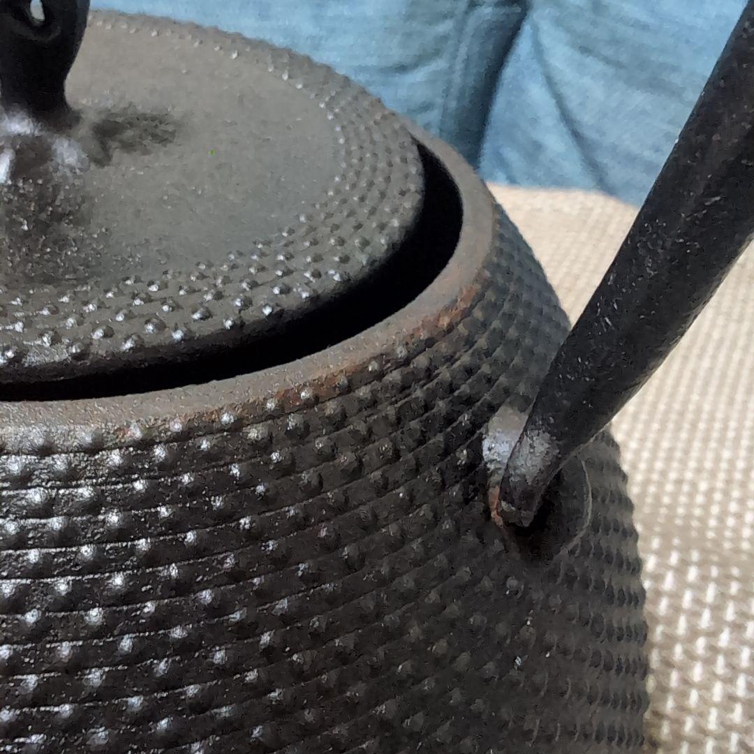 釜定　鉄瓶　秋の実/あられ　南部鉄器