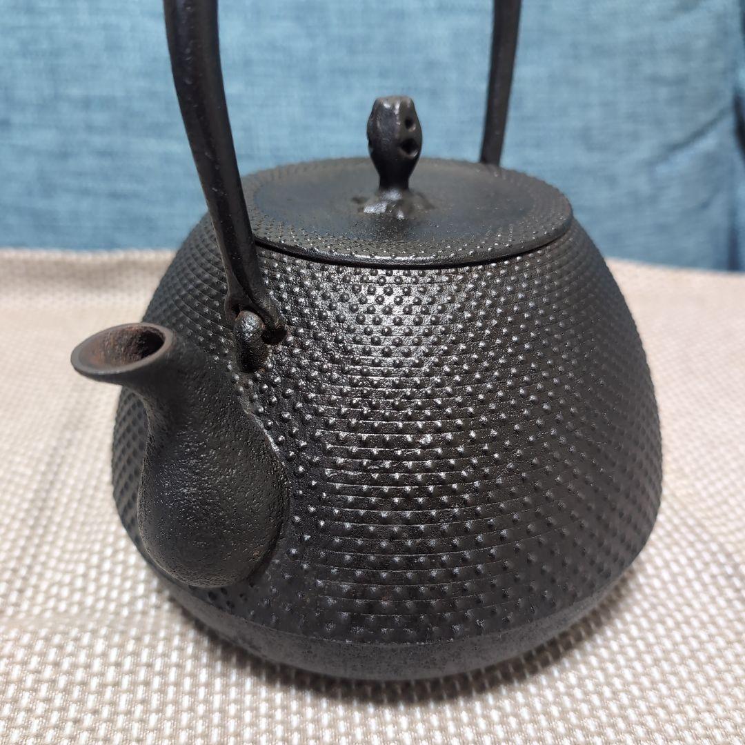 釜定　鉄瓶　秋の実/あられ　南部鉄器