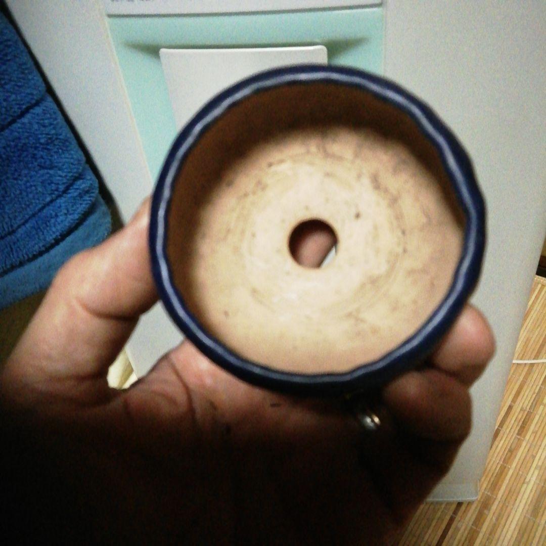 ミニ盆栽鉢、盆栽鉢、盆栽小鉢、鉢、植木鉢、山野草鉢、盆栽