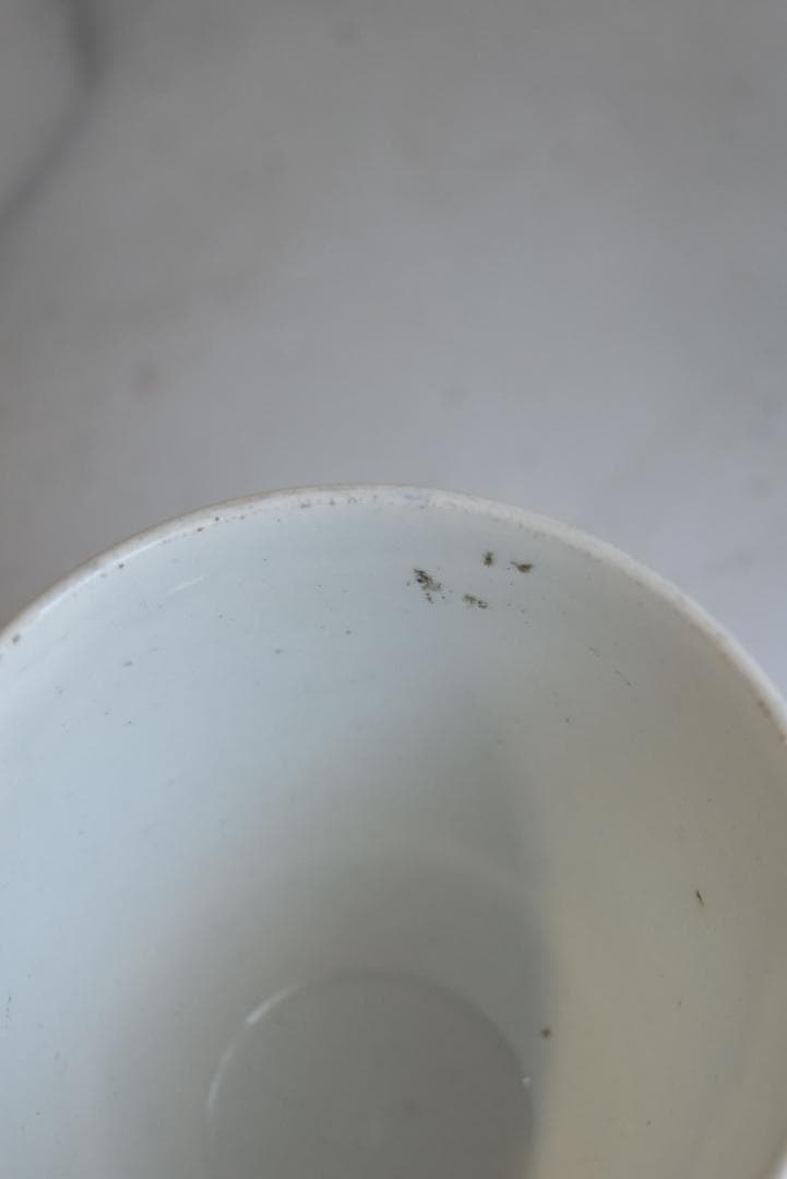 逸品1841年　クレイユエモントロー窯　ヤドリギの器　美品ボウル　アンティーク