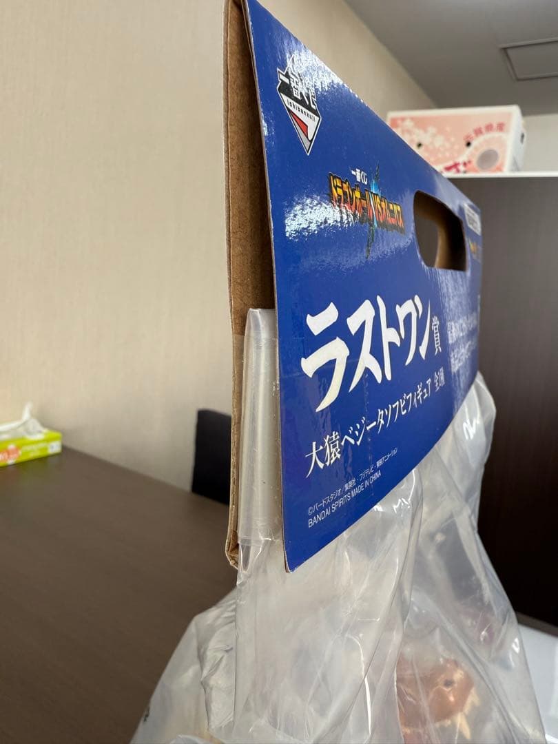 ひまわり出品