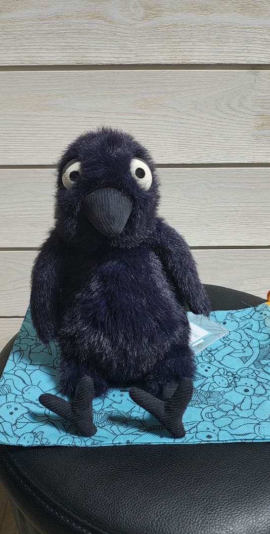 新品　jelly cat hocus crow 　カラス