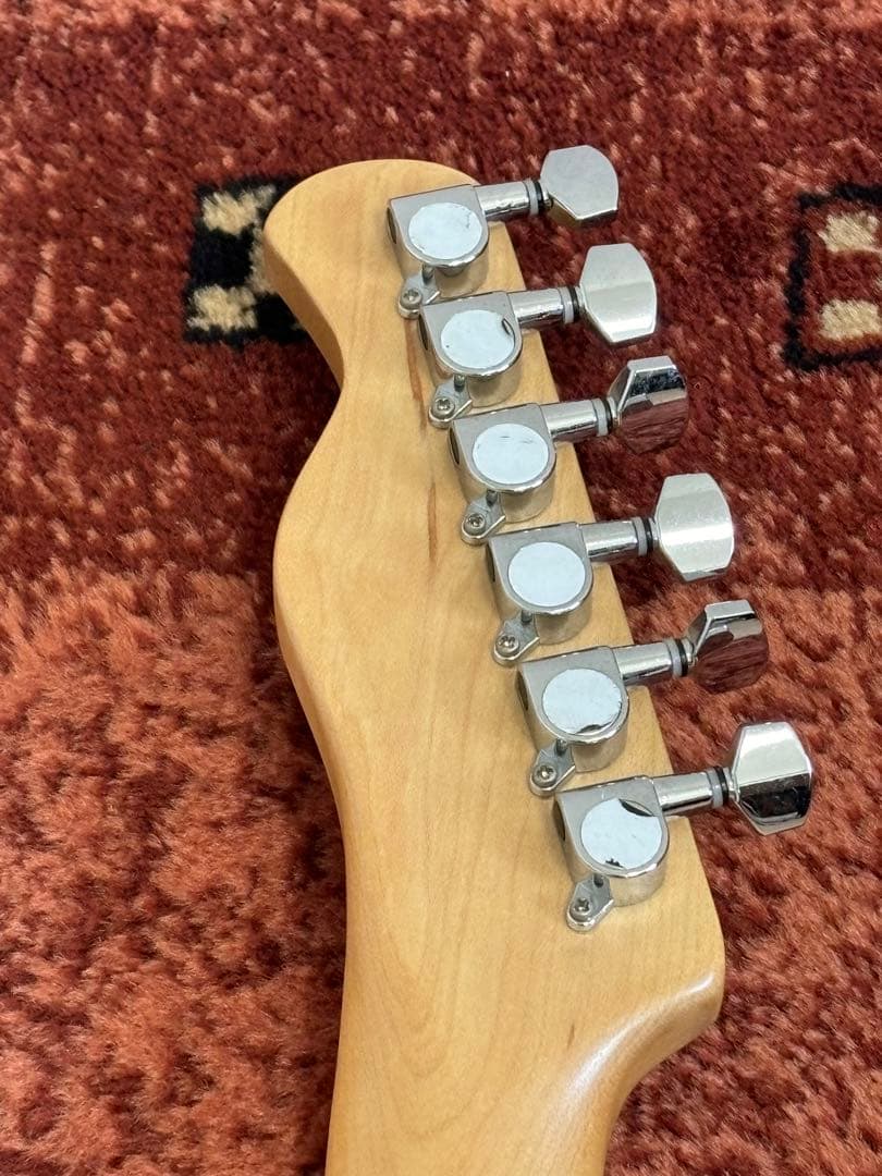 Bacchus Universe Series テレキャスター サンバースト