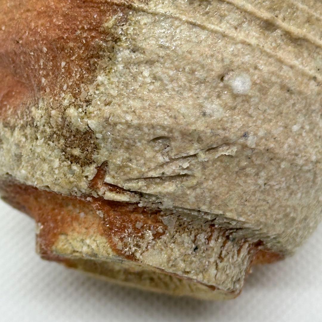 古谷道生 信楽焼 酒器 ぐい呑 合わせ箱 直しあり