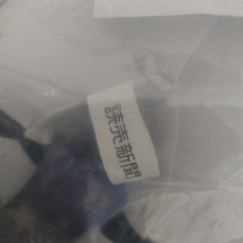 ジャイアンツのぬいぐるみ？