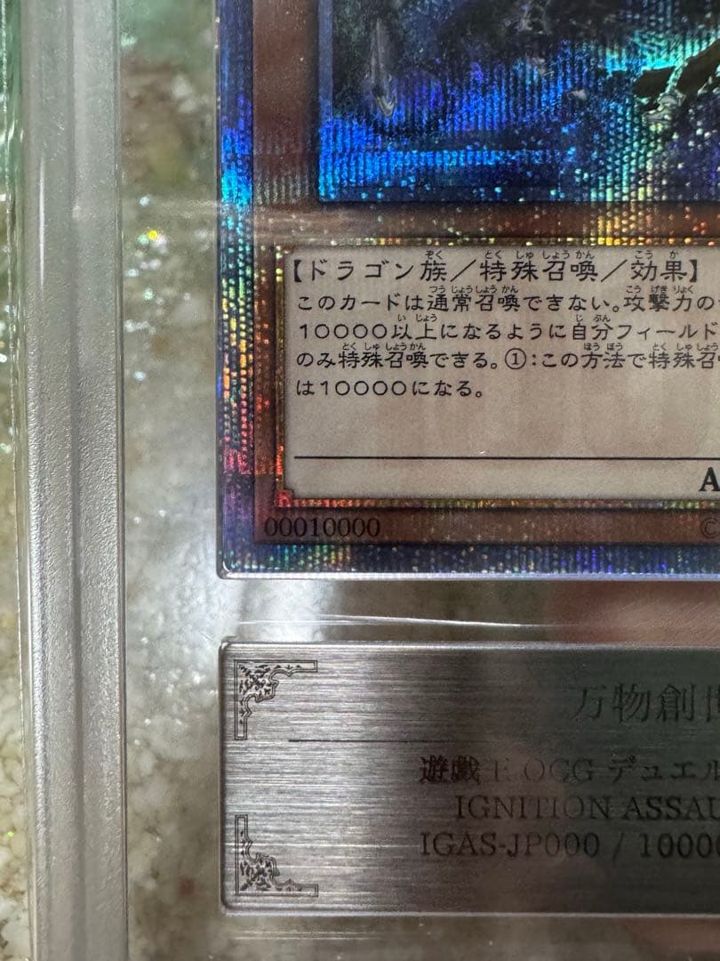 万物創世龍20th ars10 鑑定書付き