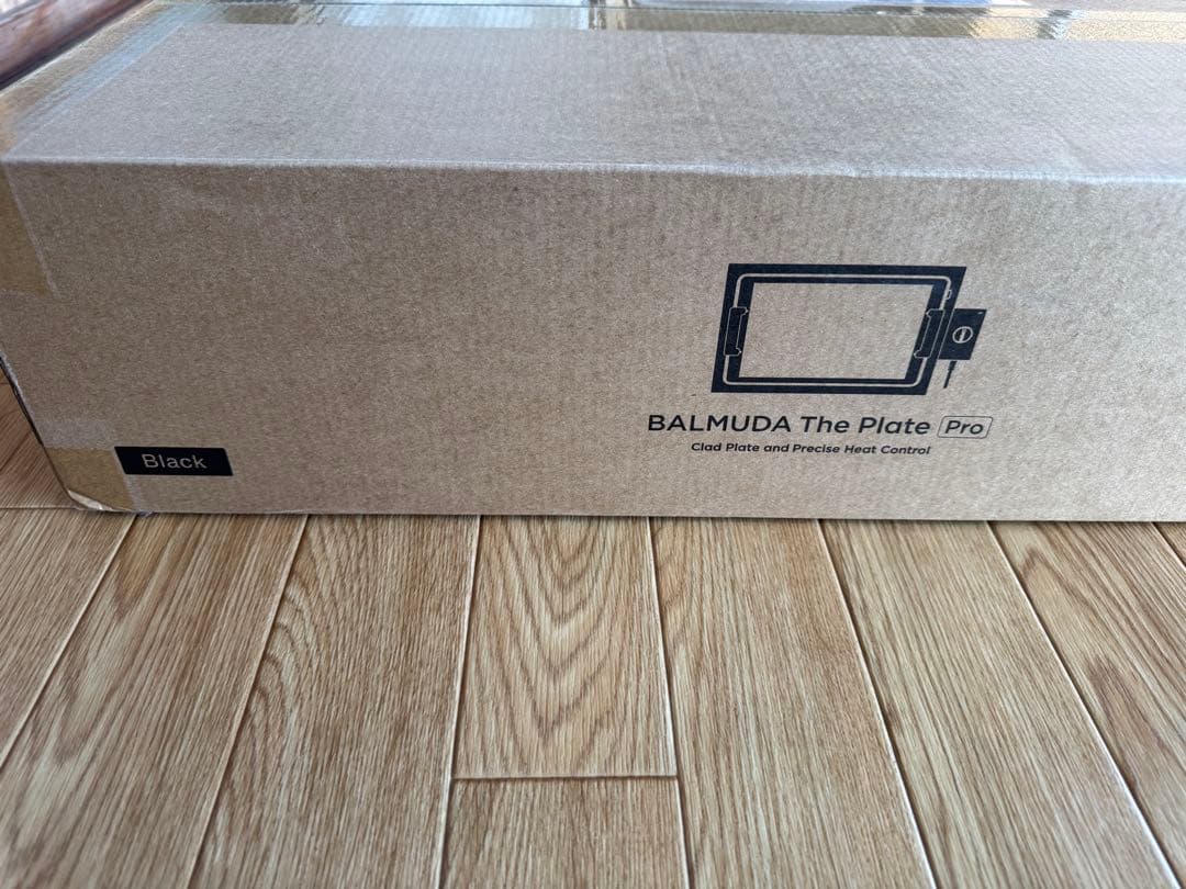 バルミューダ The Plate pro K10A