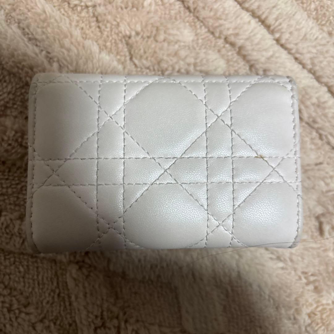 Christian Dior カナージュラムスキン