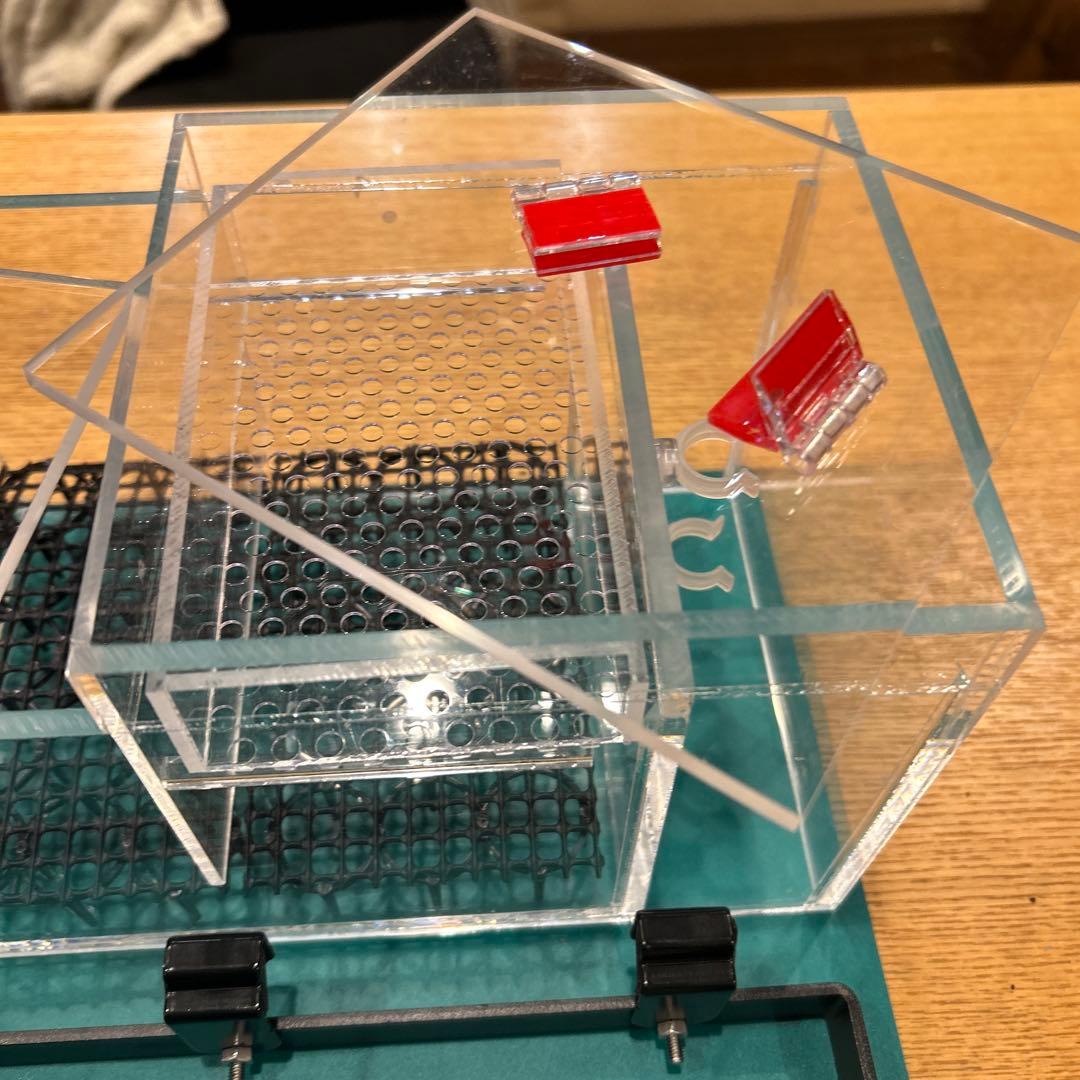 【レク太郎】上部濾過フィルターアクアポニックス仕様　60㎝水槽用