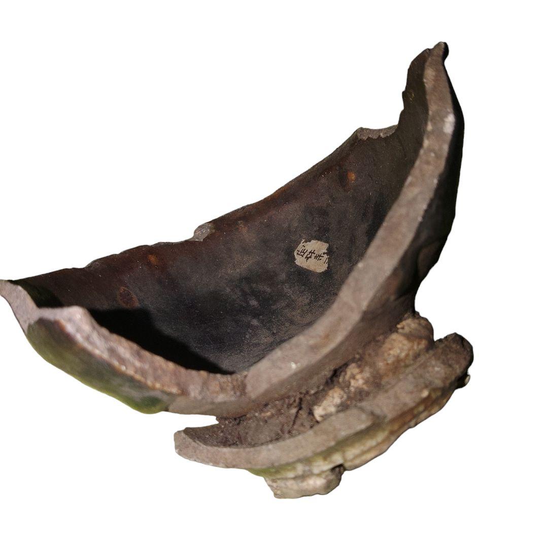 16世紀　桃山時代　岐阜県定林寺窯　天目茶碗　出土品