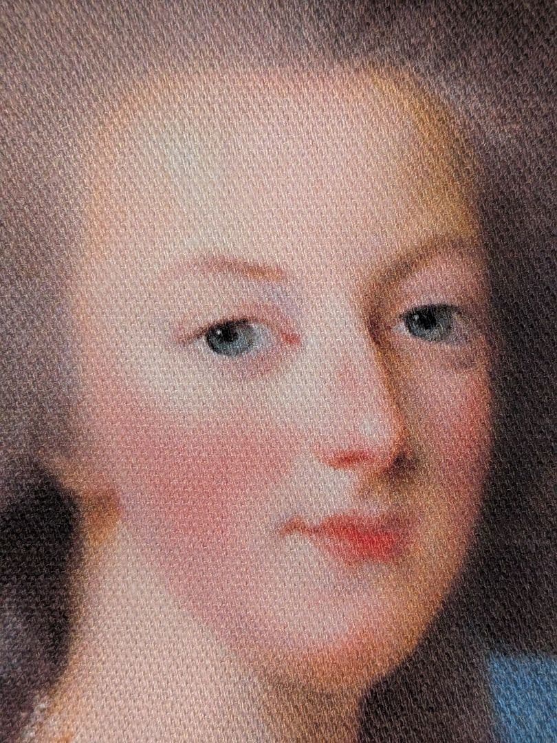 最強のインフルエンサーマリー・アントワネットトートバッグ新品ベルサイユ宮殿グッズ