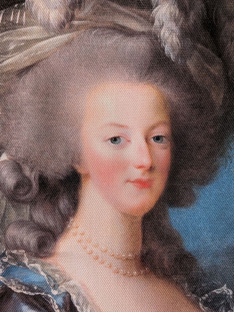 最強のインフルエンサーマリー・アントワネットトートバッグ新品ベルサイユ宮殿グッズ