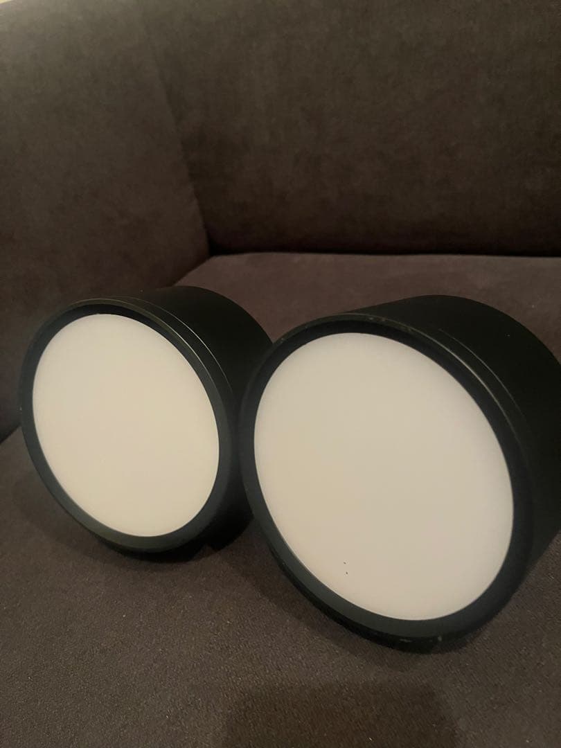 Y*a様 ✨未使用<エジソンスマート>シーリング　ブラック。 調整可能