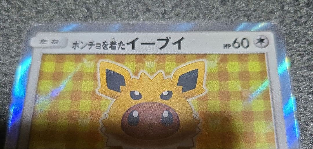 ポンチョを着たイーブイ 水曜日限定価格