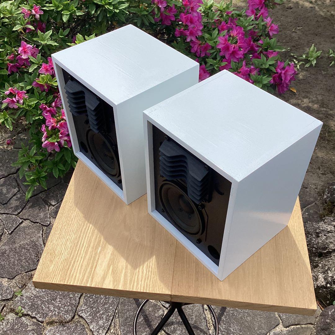 おじさん達は憧れた音響レンズ搭載　10㎝2wayバスレフ