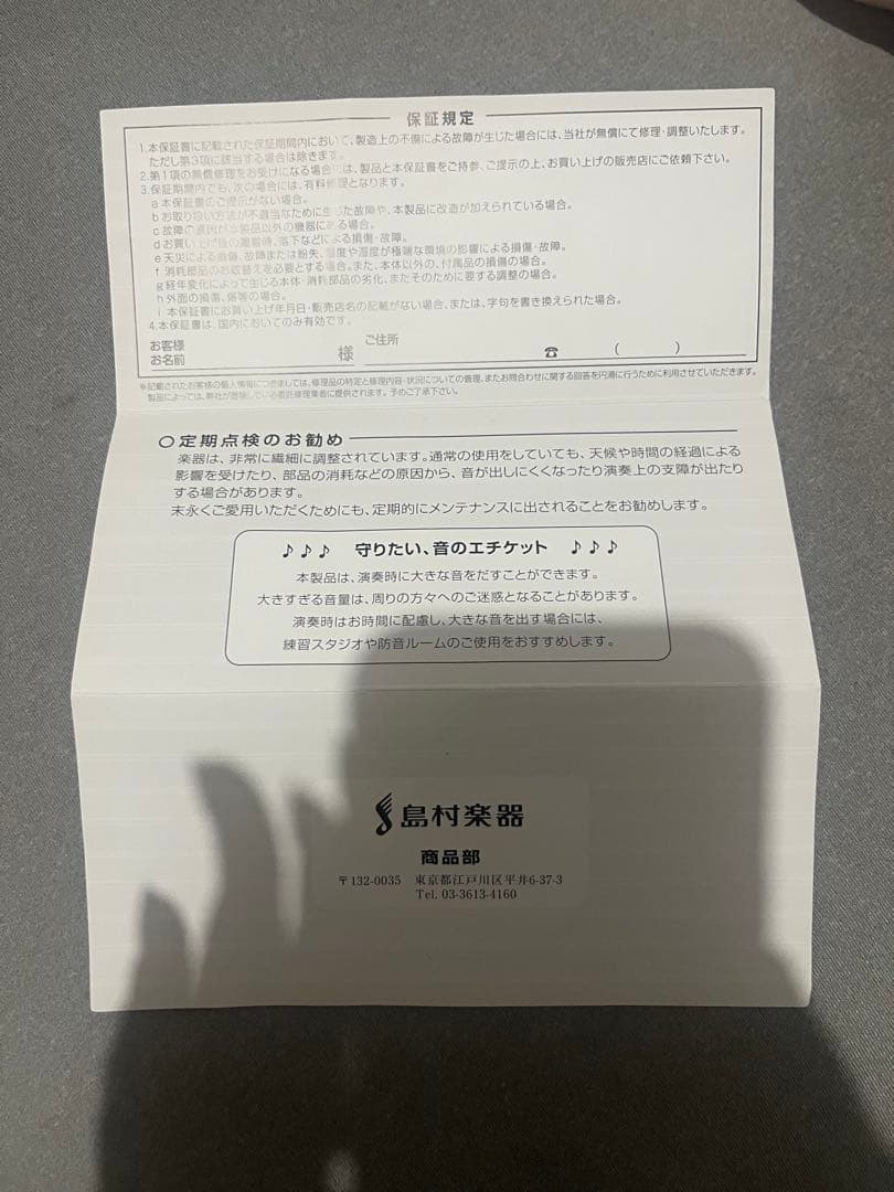 アコースティックギター James J - 300A NAT