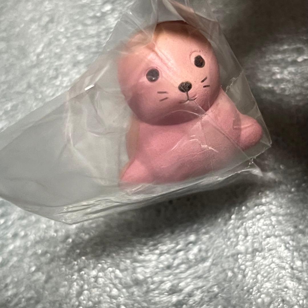 スクイーズ　ブルーム　アザラシ　3種セット　BLOOM